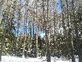 spgm-1.4.7/gal/Sfruz 28 febbraio - 1 marzo 2015/_thb_sfruz2015we05.jpg